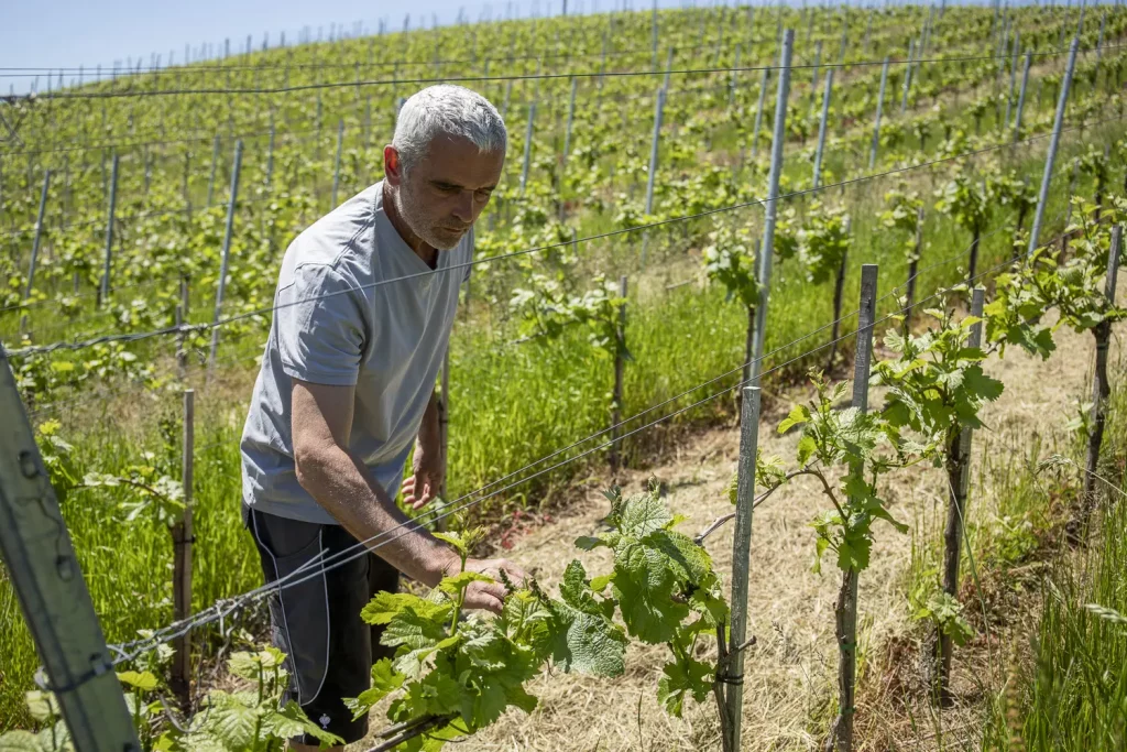 Hans-Martin Hockenberger